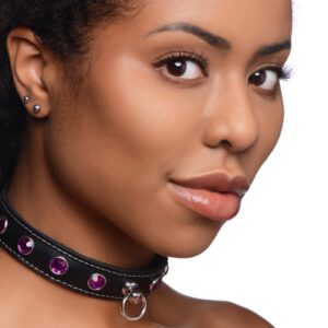 Royal Vixen Leather Choker with Rhinestones